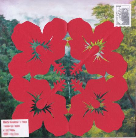 fleurs des îles