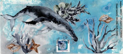 Dentellebleue 20 01 25