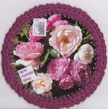 roses roses