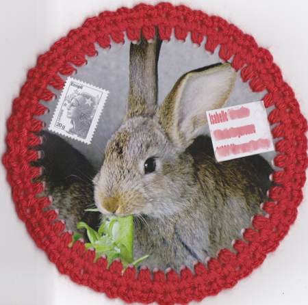 lapin lapin