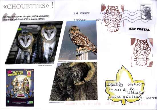 galerie de chouettes