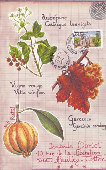 plantes médicinales