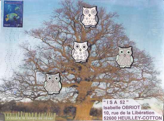 arbre au hiboux arbre au hiboux