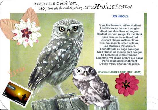 les hiboux les hiboux
