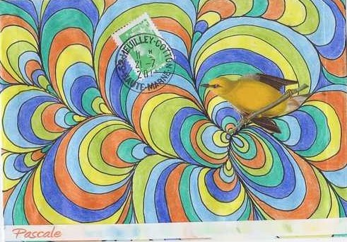 oiseau jaune