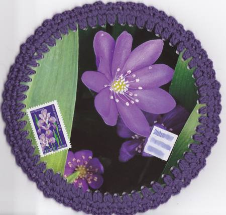 fleur violette fleur violette