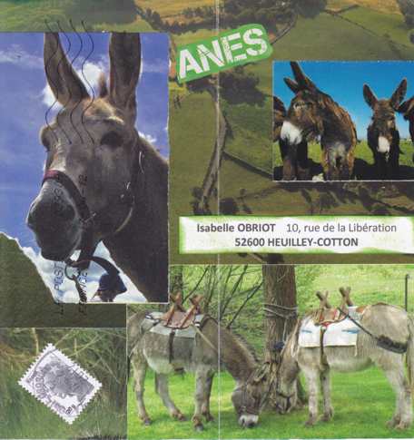 quelques ânes quelques ânes