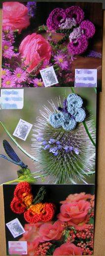 papillons 24.08.12